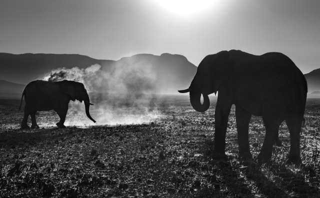 David Yarrow, ‘Moon Rakers ’, ca. 2015, Isabella Garrucho Fine Art