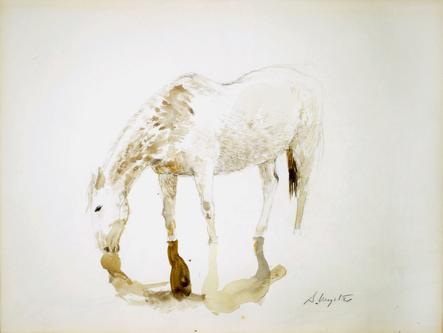 Andrew Wyeth, ‘Study for Grey Ghost’, 1972, Somerville Manning Gallery