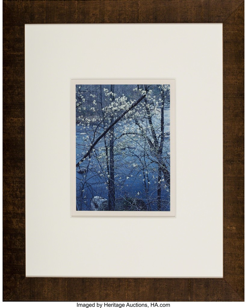 eliot porter, spruce trunks and grass; aspens in sprint; new