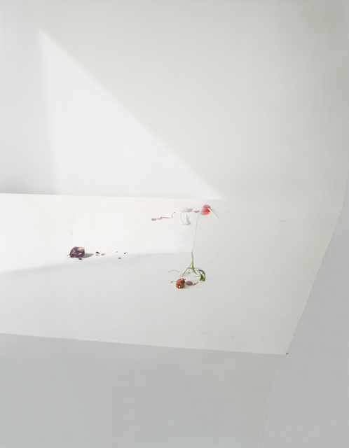 Laura Letinsky, ‘Untitled #21, from the series Ill Form and Void Full’, 2011, Tracey Morgan Gallery