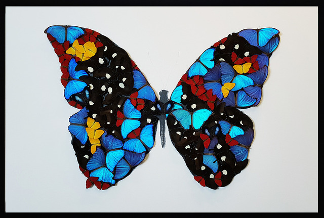 SN, ‘Butterfly ’, 2019, Painting, Oil painting on canvas with mounted butterflies, Eden Fine Art