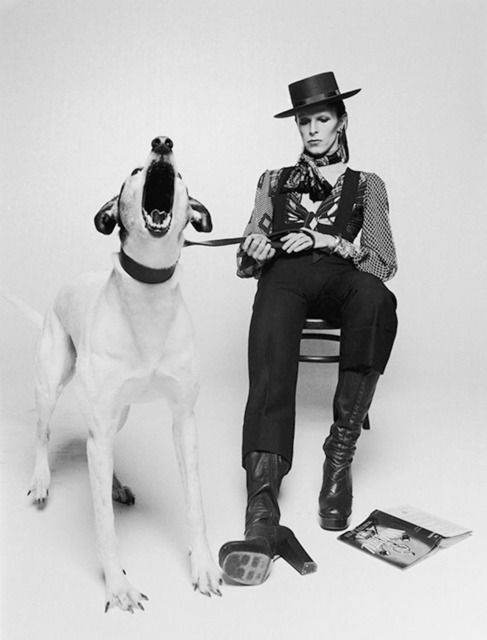 Terry O'Neill, ‘David Bowie 'Diamond Dogs', view 2’, 1974, Gallery 270