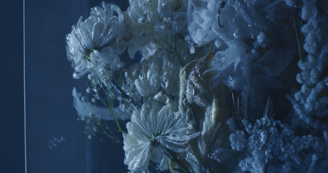Jorge Rosano Gamboa, ‘Still’, 2019, Photography, Digital print, Kino Tonala