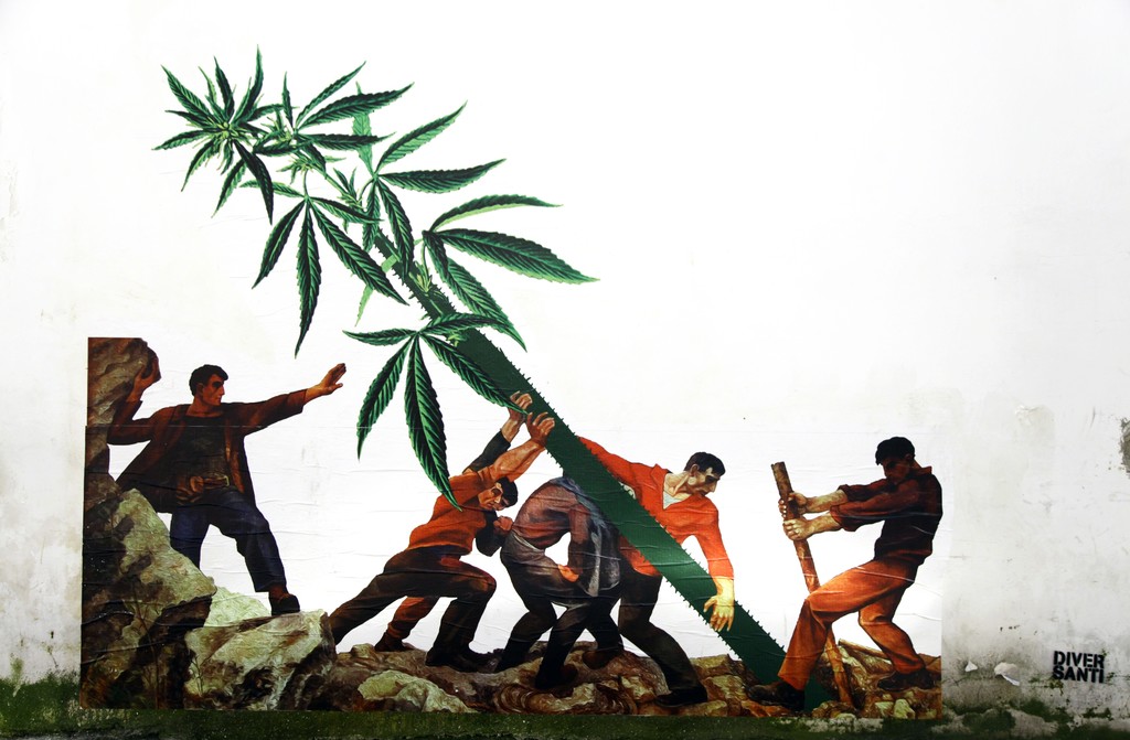 Ergin Zaloshnja, Weed Nation, c-print on wall, variable dimensions, 2018, courtesy the artist Ergin Zaloshnja, Weed Nation, c-print on wall, variable dimensions, 2018, courtesy the artist