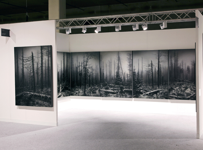 Nemora installation Nemora installation