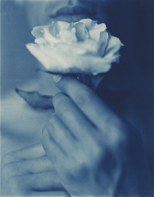 John Dugdale, ‘Ling'ring Near the Rose, NYC’, 1998, Photography, Cyanotype, Gallery 270