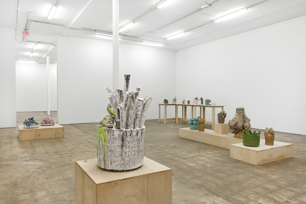 Installation shot, Clippings and Hard Fruit, David Hicks Installation shot, Clippings and Hard Fruit, David Hicks