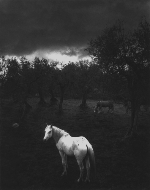 Pentti Sammallahti, ‘Cliento, Italy’, 2000, Photography, Gelatin silver print, ClampArt