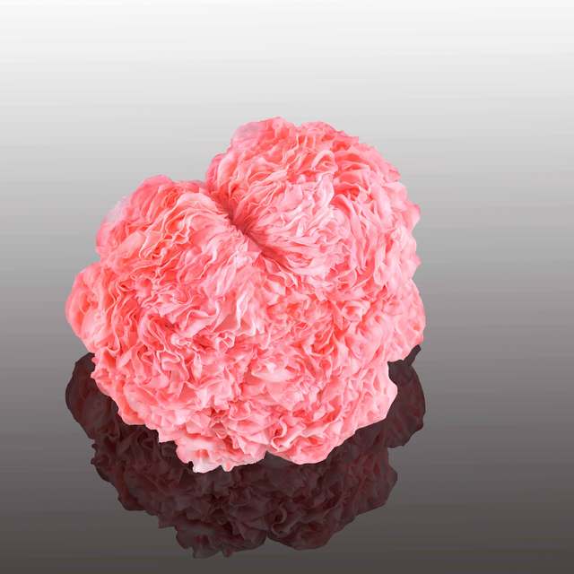 Hsu Wei-Hui, ‘Flower of Life – Smiling to Life (No.2)-3’, 2015, Liang Gallery