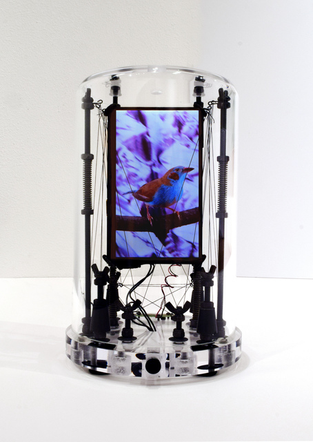 David Zimmer, ‘Sky Wire 1’, Robischon Gallery