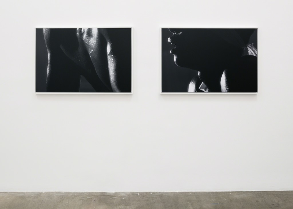 Jen DeNike, If She Hollers, Installation view, 2015 Jen DeNike, If She Hollers, Installation view, 2015