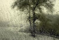 Sans titre, (Série pluie)
