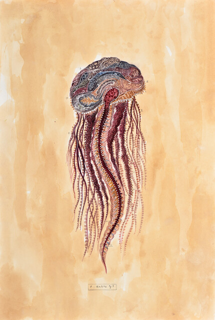 image-zoom