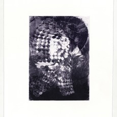 Nicholas Byrne