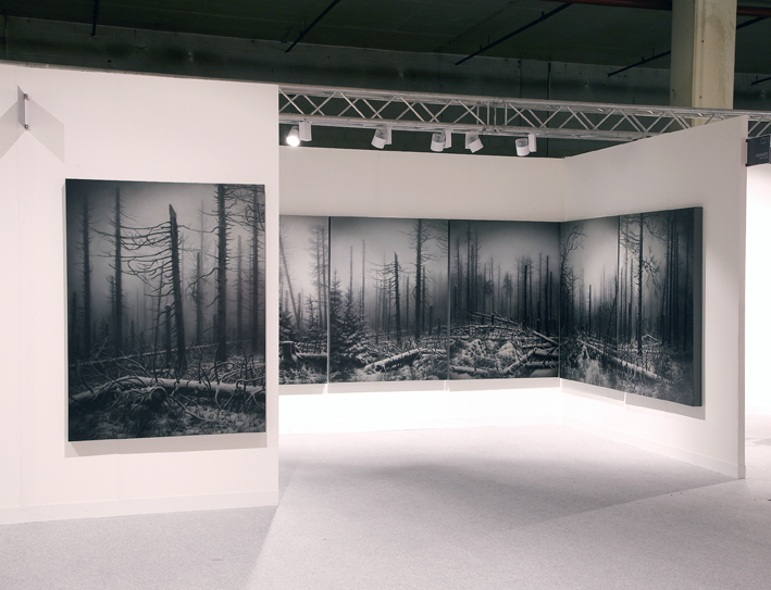 Nemora installation Nemora installation