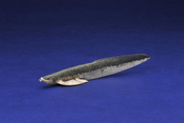 AKIO OHMORI, ‘Letter opener under the moonlight-Arowana-green x silver’, 2014, Sculpture, Bronze & Gold Leaf, H.ARTS COLLECTIVE