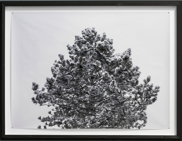 Hubertus Hamm, ‘Winter / No. 03’, 2014, Galerie Kornfeld