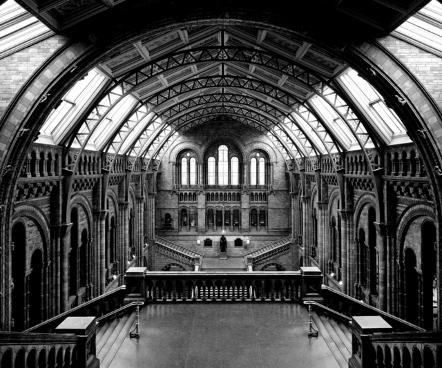 Massimo Listri, ‘Natural History Museum, Londra’, 2005, Holden Luntz Gallery