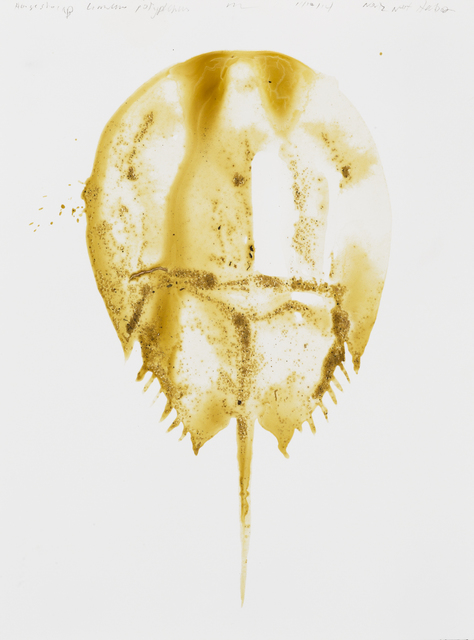 Alexis Rockman, ‘Horseshoe Crab (Limulus Polyphemus)’, 2014, Parrish Art Museum