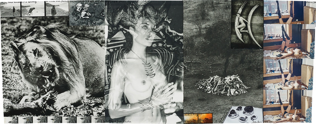 Peter Beard, ‘Untitled’, 1972-1984, Phillips