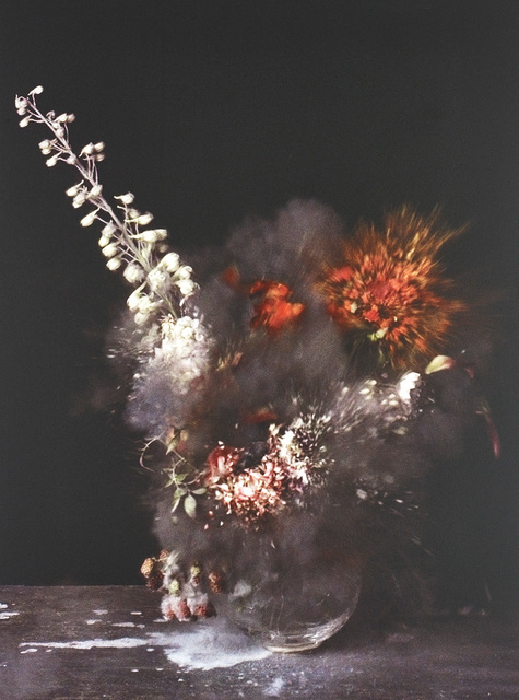 Ori Gersht, ‘Untitled 28 from Time After Time: Exploding Flower & Other Matters’, 2007, Phillips