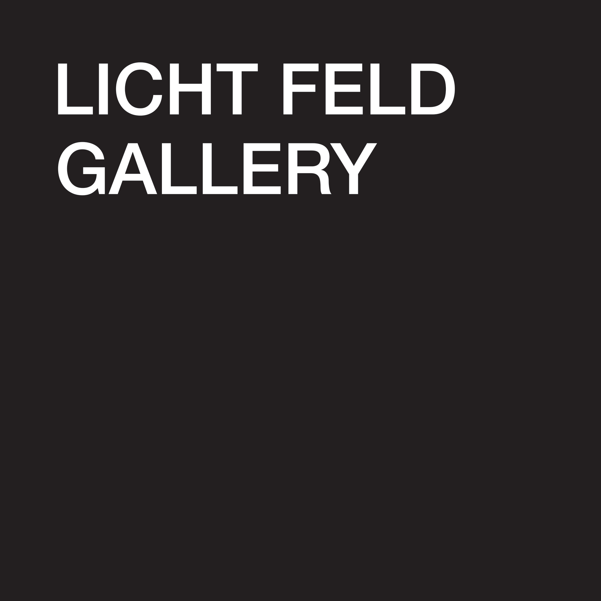 LICHT FELD GALLERY logo