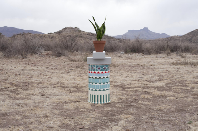 Florian Slotawa, ‘Local Plants (Snake Plant)’, 2012, Sies + Höke