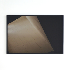Daniel Feingold