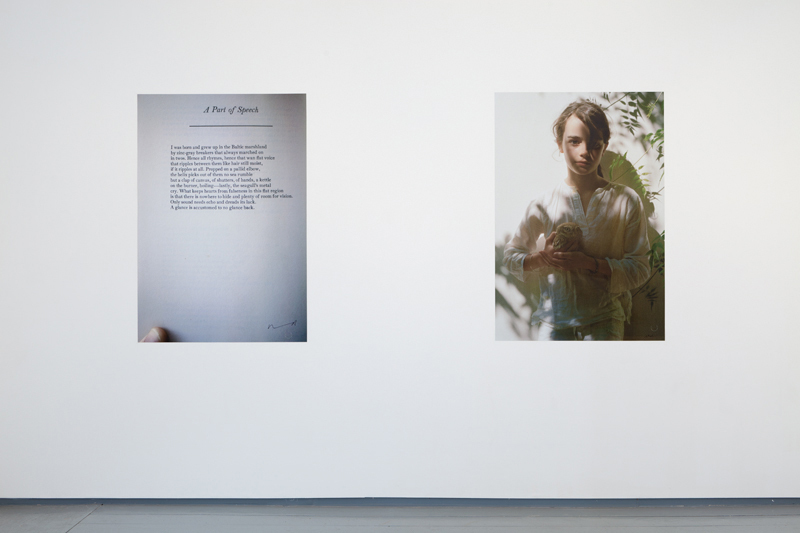 Installation at Paul Stolper Gallery - SNAP / The Portfolio 2011 -
June 10, 2011 - June 25, 2011 Installation at Paul Stolper Gallery - SNAP / The Portfolio 2011 -
June 10, 2011 - June 25, 2011