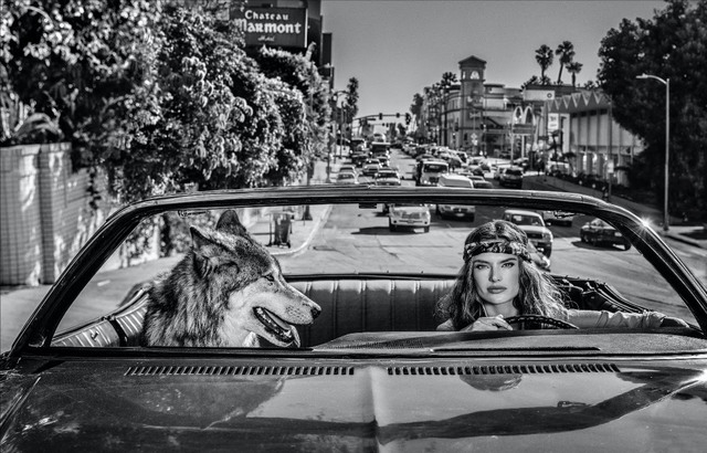 David Yarrow, ‘Chateau Marmont’, 2019, Isabella Garrucho Fine Art