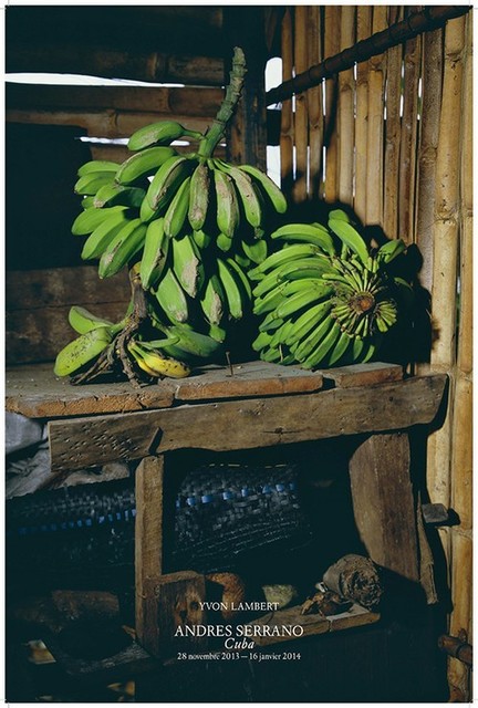 Andres Serrano, ‘Platanos, Home of Rafael, Playa Duaba, Baracao (Cuba)’, 2012, Galerie Nathalie Obadia