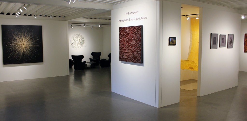 Mayme Kratz & Alan Bur Johnson: The Brief Forever | Lisa Sette Gallery | Artsy