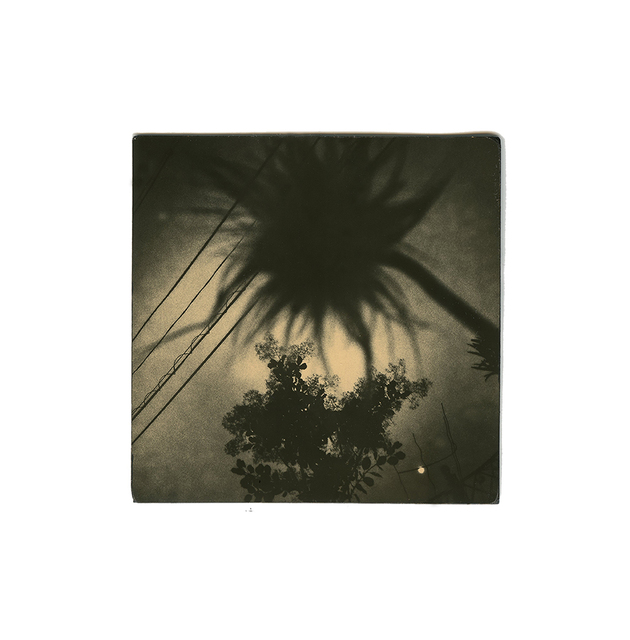 Miho Kajioka, ‘BK0282’, 2016, Photography, Silver gelatin print, The Photographers' Gallery | Print Sales