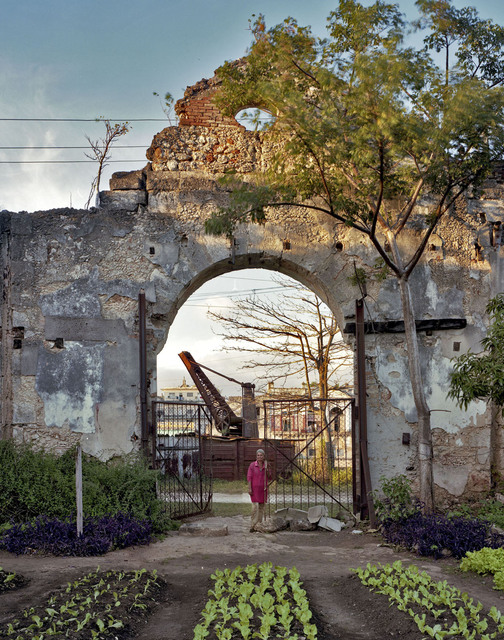 Andrew Moore, ‘Un huerto familiar en un antiguo almacen, Rio San Juan, Matanzas’, 2012, Photography, Archival pigment print, Yancey Richardson Gallery