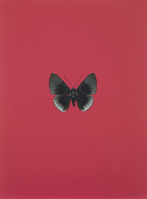 Damien Hirst, ‘It’s a Beautiful Day’, 2013, DTR Modern Galleries