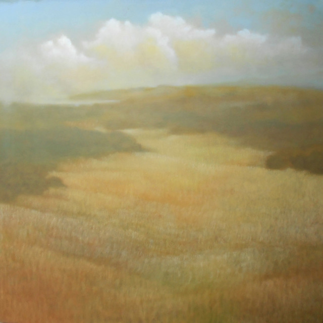 Donna McGinnis, ‘Sonoma / 2759’, 2016, Painting, Oil on canvas, Andra Norris Gallery