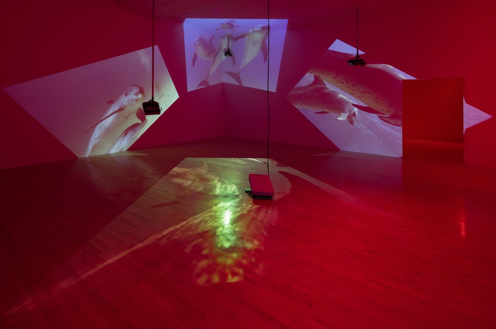 Installation photograph, "Diana Theater: The Sympathetic Imagination," Los Angeles County Museum of Art, November 22, 2015 - February 21, 2016. Courtesy of Diana Thater. Photo: Fredrik Nilsen. Installation photograph, "Diana Theater: The Sympathetic Imagination," Los Angeles County Museum of Art, November 22, 2015 - February 21, 2016. Courtesy of Diana Thater. Photo: Fredrik Nilsen.