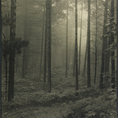 Otto Eaton