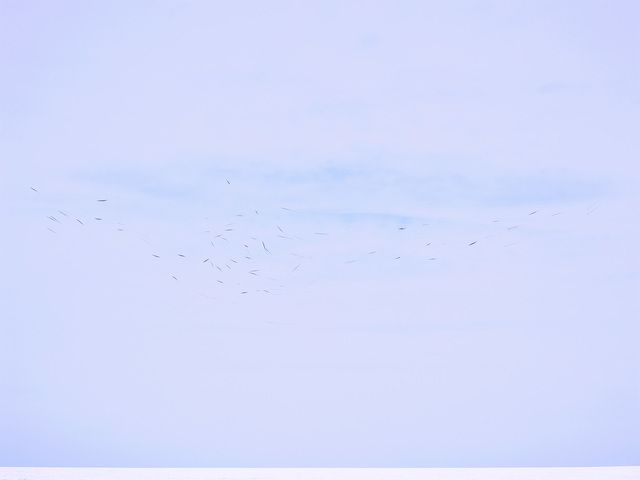Caleb Cain Marcus, ‘A Brief Movement After Death 8’, 2017, Photography, Pigment Fiber Print with Grease Pencil, Telluride Gallery of Fine Art