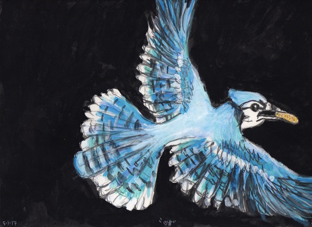 Frank X. Tolbert, ‘Bluejay with Peanut’, 2017, William Campbell Contemporary Art, Inc.