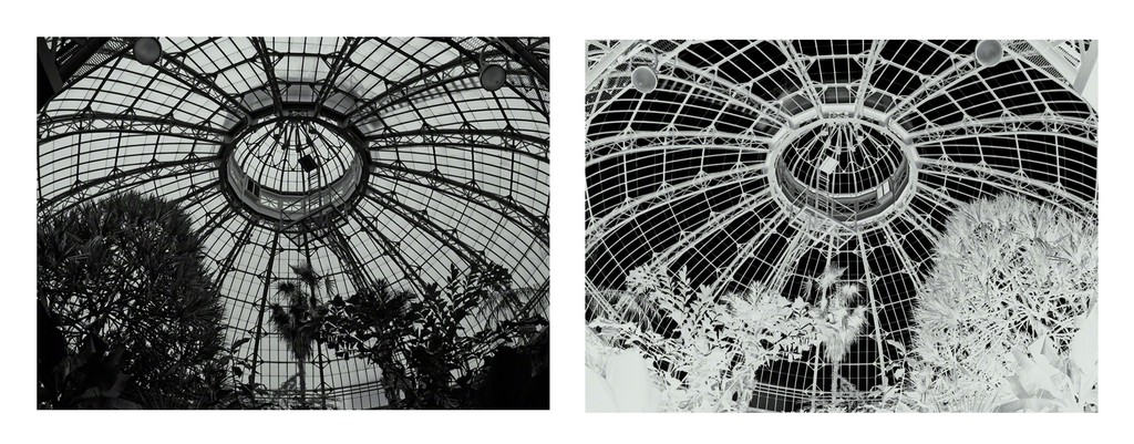 Terminus 1 and 2, interior of palm house at Allan Gardens,Toronto Terminus 1 and 2, interior of palm house at Allan Gardens,Toronto
