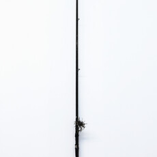 Christopher Mayer