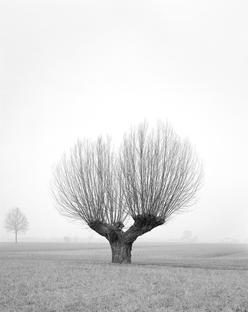 Paola De Pietri, ‘Untitled 017, Questa Pianura series’, 2015, Galerie Les filles du calvaire