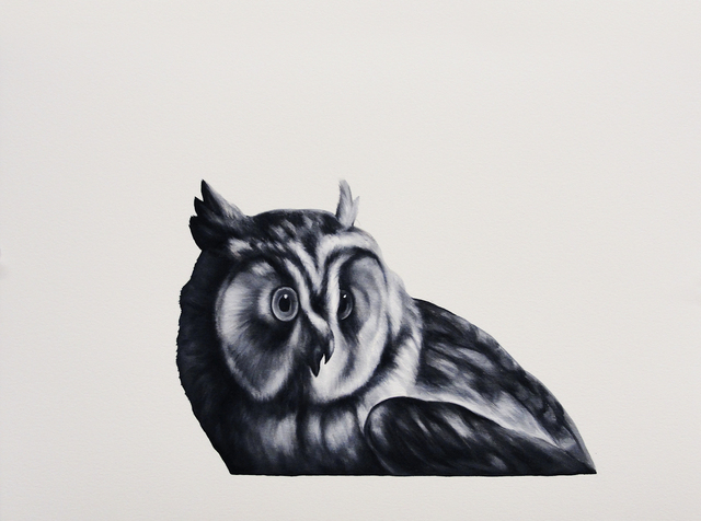 Shelley Reed, ‘Owl (after Duranti)’, Painting, Visions West Contemporary