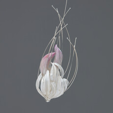 Xiaoli Ning