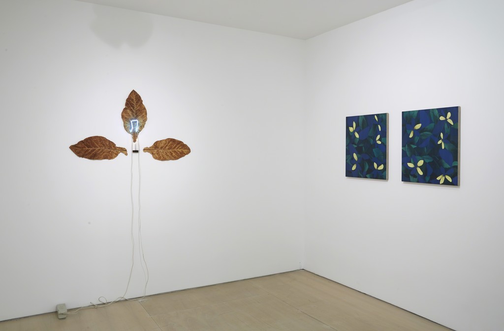 Installation view: Ordering Nature
New York, BOESKY EAST, June 12 – July 31, 2015
Photo credit: Jason Wyche Installation view: Ordering Nature
New York, BOESKY EAST, June 12 – July 31, 2015
Photo credit: Jason Wyche