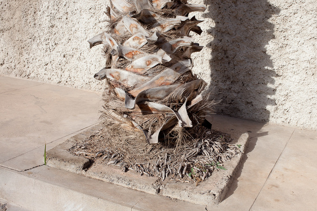 Catarina Botelho, ‘A sombra do sol #7’, 2015, Photography, Impresión inyección en tinta, Galería Silvestre