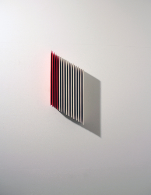 Masayuki Tsubota, ‘the layer of self_gfv5hs’, 2015, Gallery LVS