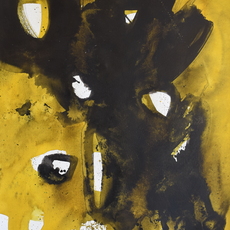 Youssef Douieb