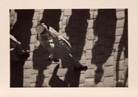 Charles De Gaulle saluting the guard of honor, Constantine, Algeria ,
1958